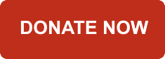 Donate Now button